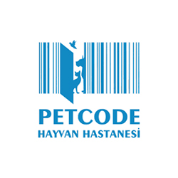 Proxima referansı 78